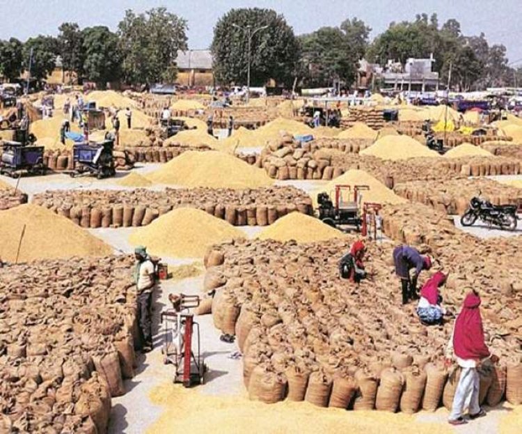 दिल्ली के अलीपुर में 8 साल से किसानों को मंडी बनने का इंतजार